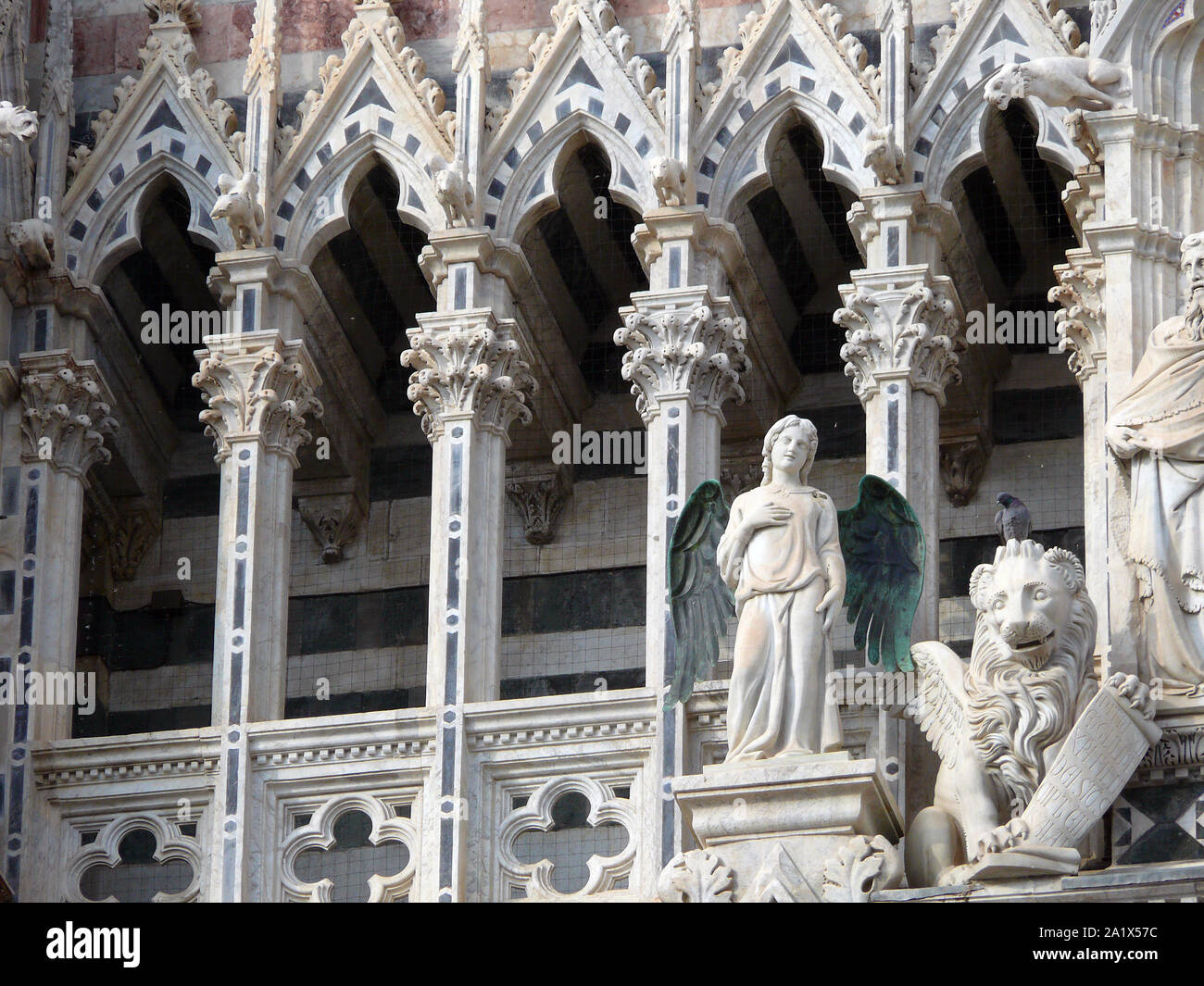 Kathedrale Mariä Himmelfahrt, Kathedrale Metropolitana di Santa Maria Assunta, Siena, Toskana, Toscana, Italien, Europa Stockfoto