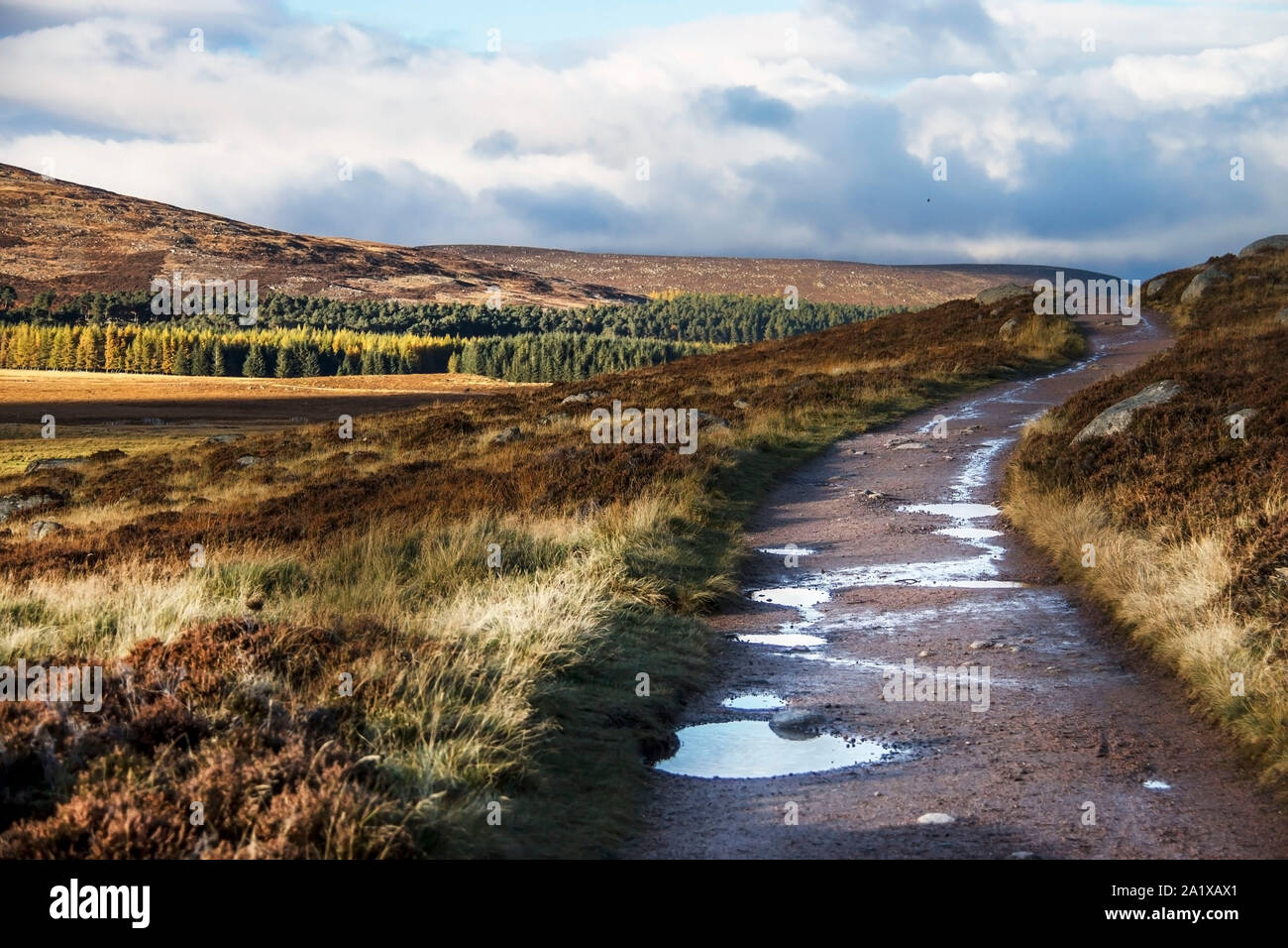 Schottische Landschaft. Wanderweg Loch Muick. Ballater, Aberdeenshire, Schottland, Großbritannien Stockfoto