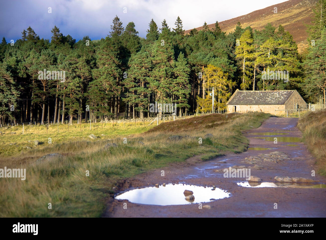 Schottische Landschaft. Wanderweg Loch Muick. Ballater, Aberdeenshire, Schottland, Großbritannien Stockfoto