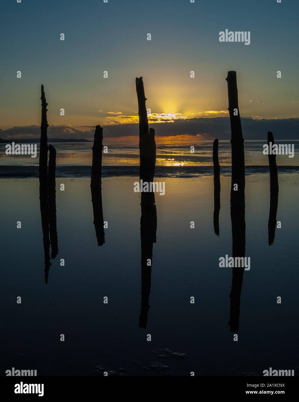 Mershead RSPB Reservat im Winter, stakenet Beiträge entlang der Küste, Dumfries und Galloway, SW Schottland Stockfoto