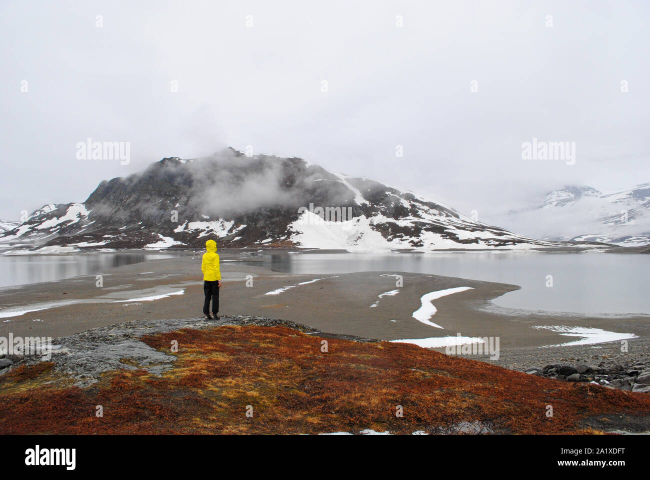 Frau in gelber Jacke aus einen bewölkt Berglandschaft an einem regnerischen Tag im Frühjahr Bygdin, Norwegen. Stockfoto