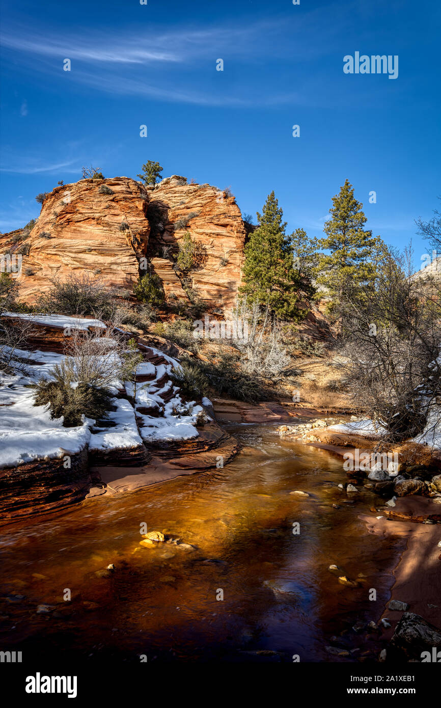 Pine Creek im Zion National Park Stockfoto