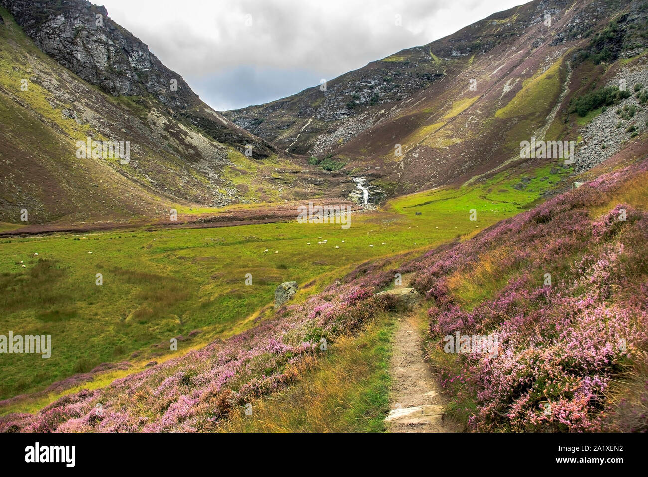 Wanderweg im Cairngorms National Park. Glen Lee und Fällt der Münchner in einem Abstand. Angus, Schottland, Großbritannien. Stockfoto