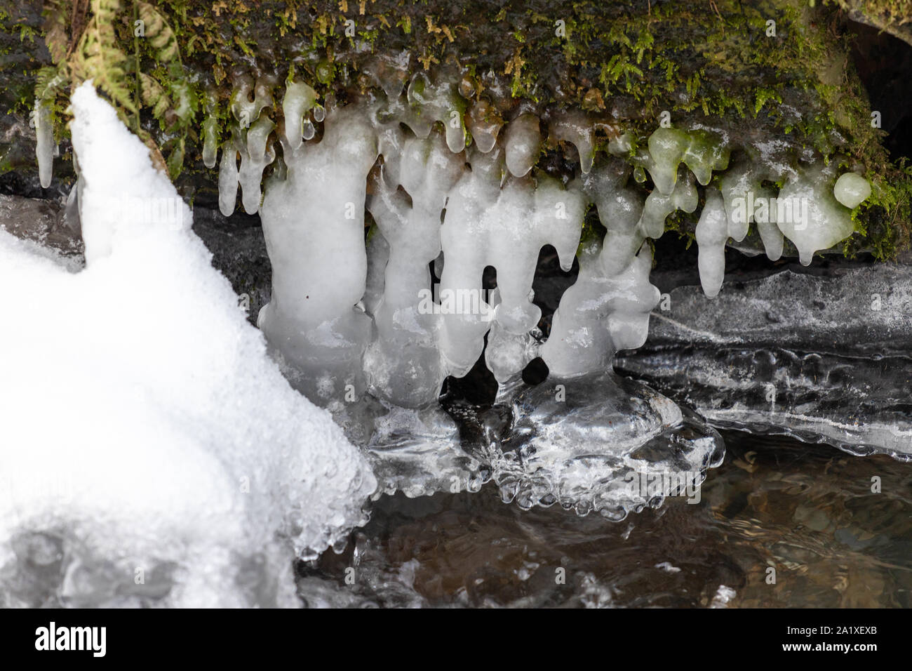 Eiszapfen, Eis Formationen bei Tiefenbach in der Nähe von Bernkastel-Kues an der Mosel Stockfoto