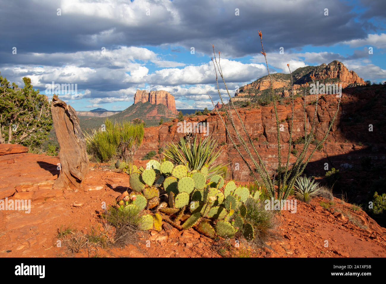 Sedona ist eine Red Rock City in Arizona, Vereinigte Staaten von Amerika, rote Sandsteinformationen, Reisen USA, Tourismus, schöne Landschaft, beliebter Ort für Stockfoto