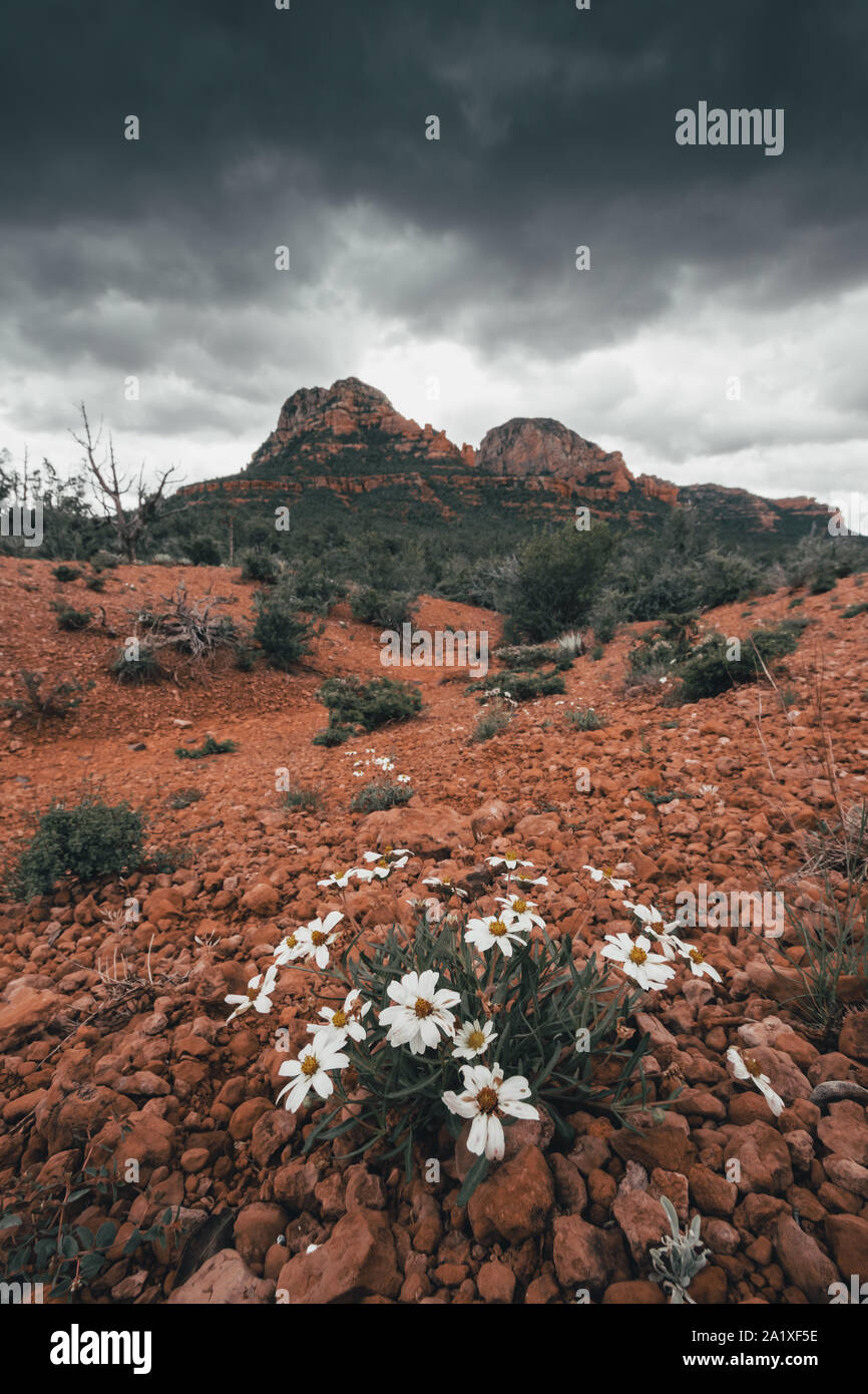Sedona ist eine Red Rock City in Arizona, Vereinigte Staaten von Amerika, rote Sandsteinformationen, Reisen USA, Tourismus, schöne Landschaft, beliebter Ort für Stockfoto