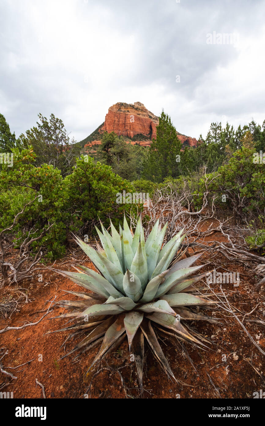 Sedona ist eine Red Rock City in Arizona, Vereinigte Staaten von Amerika, rote Sandsteinformationen, Reisen USA, Tourismus, schöne Landschaft, beliebter Ort für Stockfoto