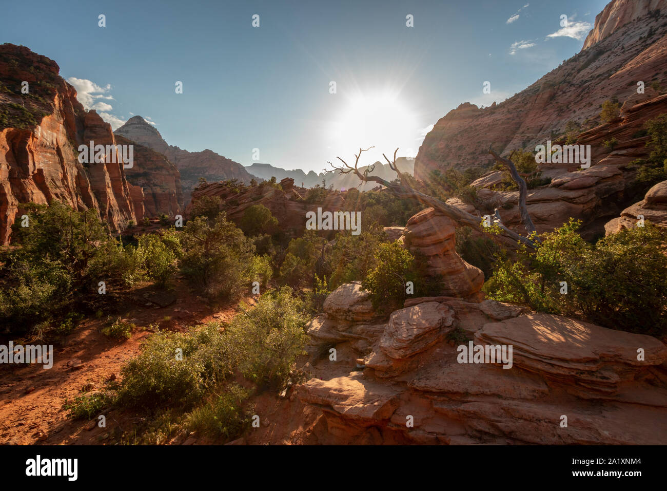 Zion National Park ist in Utah, USA, Canyon Overlook Trail, schönen Aussichtspunkt, herrliche Aussicht, wunderschöne Landschaft, Sonnenuntergang leuchtet. Stockfoto