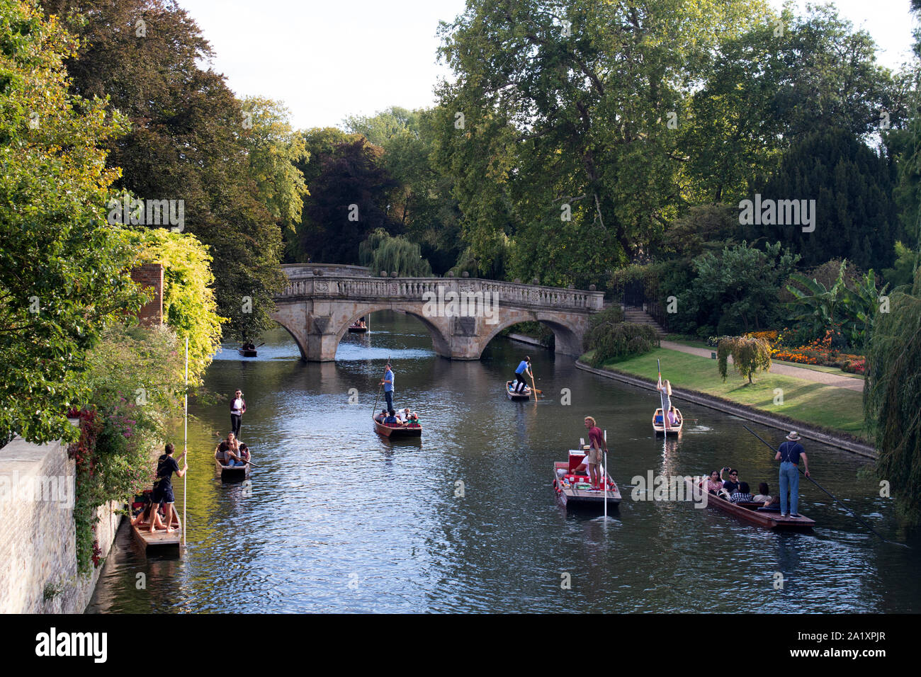 Traditionelle Cambridge Stochernd auf der Cam Fluss, Cambridge, England, Großbritannien Stockfoto