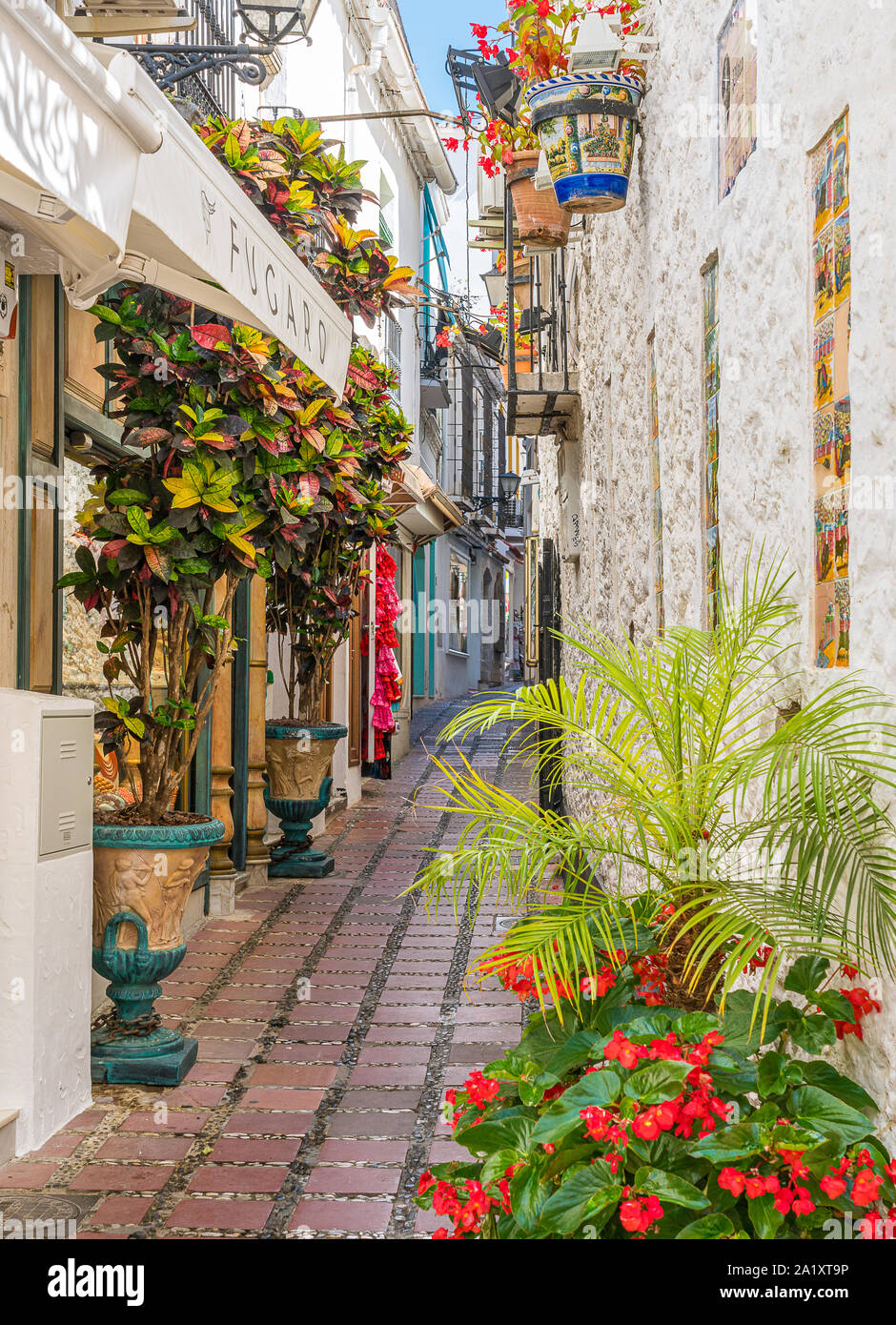 Eine malerische und Gasse in der Altstadt von Marbella, Provinz Malaga, Spanien. Stockfoto