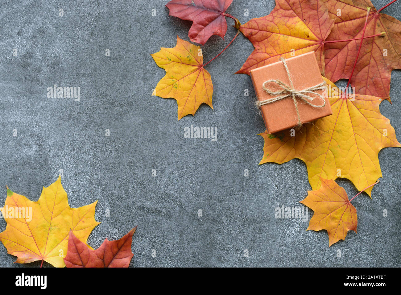 Herbst Komposition. Ahorn Blätter und Geschenkverpackung. Flach, Ansicht von oben Stockfoto