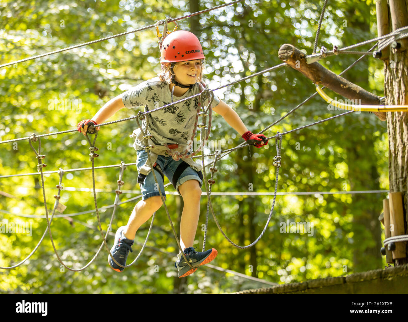 Klettergarten, Kletterkurs, Junge, 9 Jahre alt, mit Helm und Klettergurt, auf einem Kletterkurs in einem Wald, Stockfoto