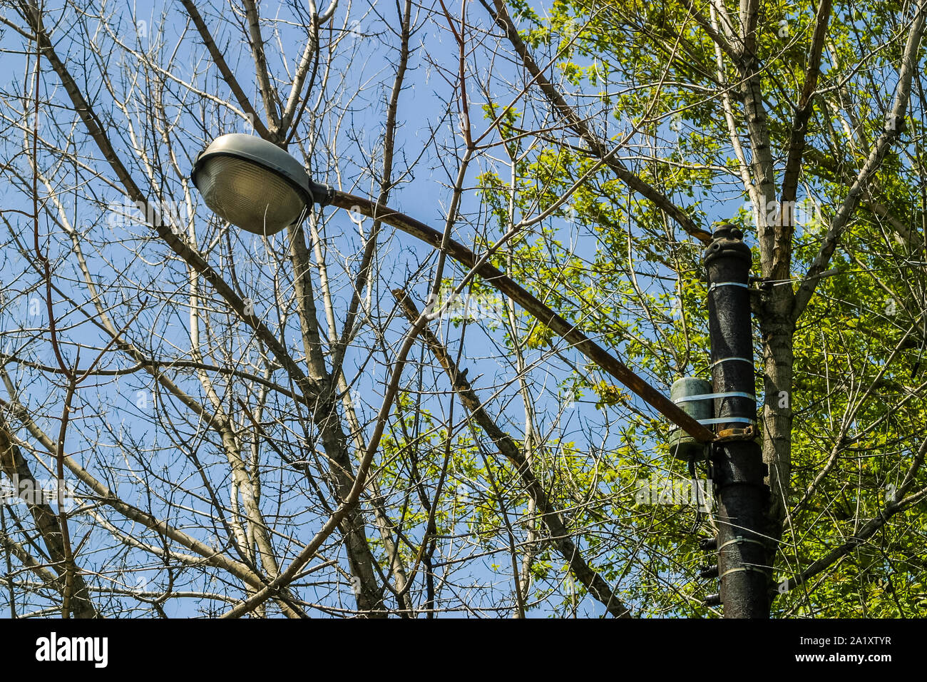 Vintage Chicago streetlight Stockfoto