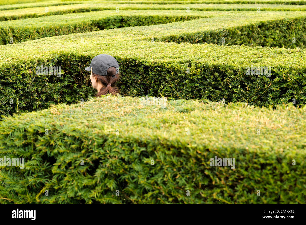 Eine Frau trägt ein Baseball cap Spaziergänge in einem riesigen Labyrinth aus Buchsbaum Hecken verloren Stockfoto