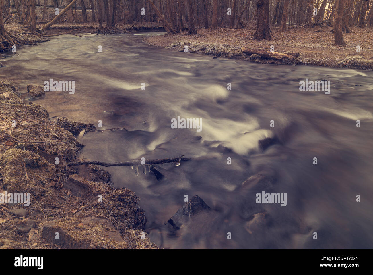 Wald Schlucht weg im Winter Stockfoto