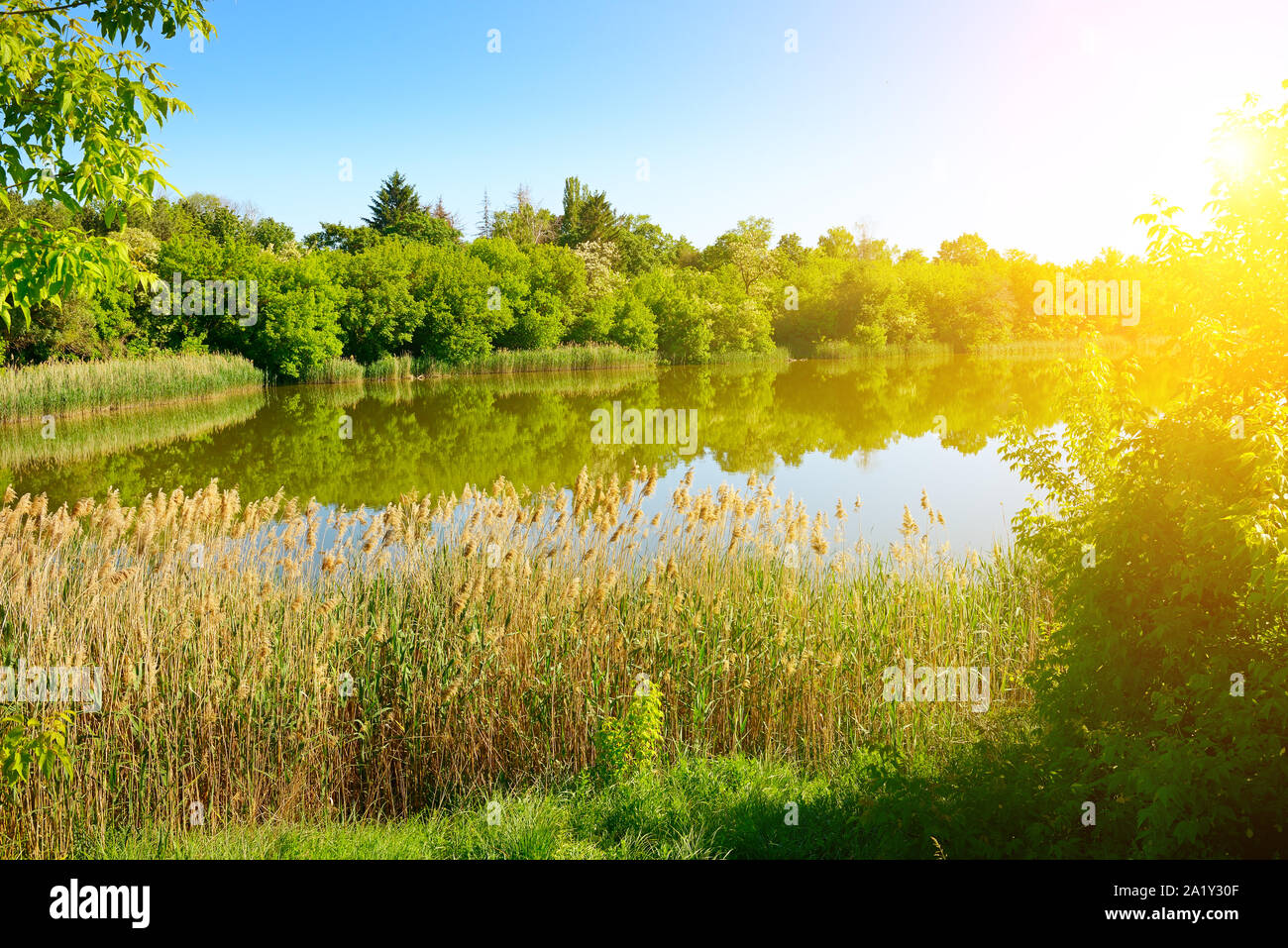 Helle Sonnenuntergang über der malerischen Sommer See. Platz kopieren Stockfoto