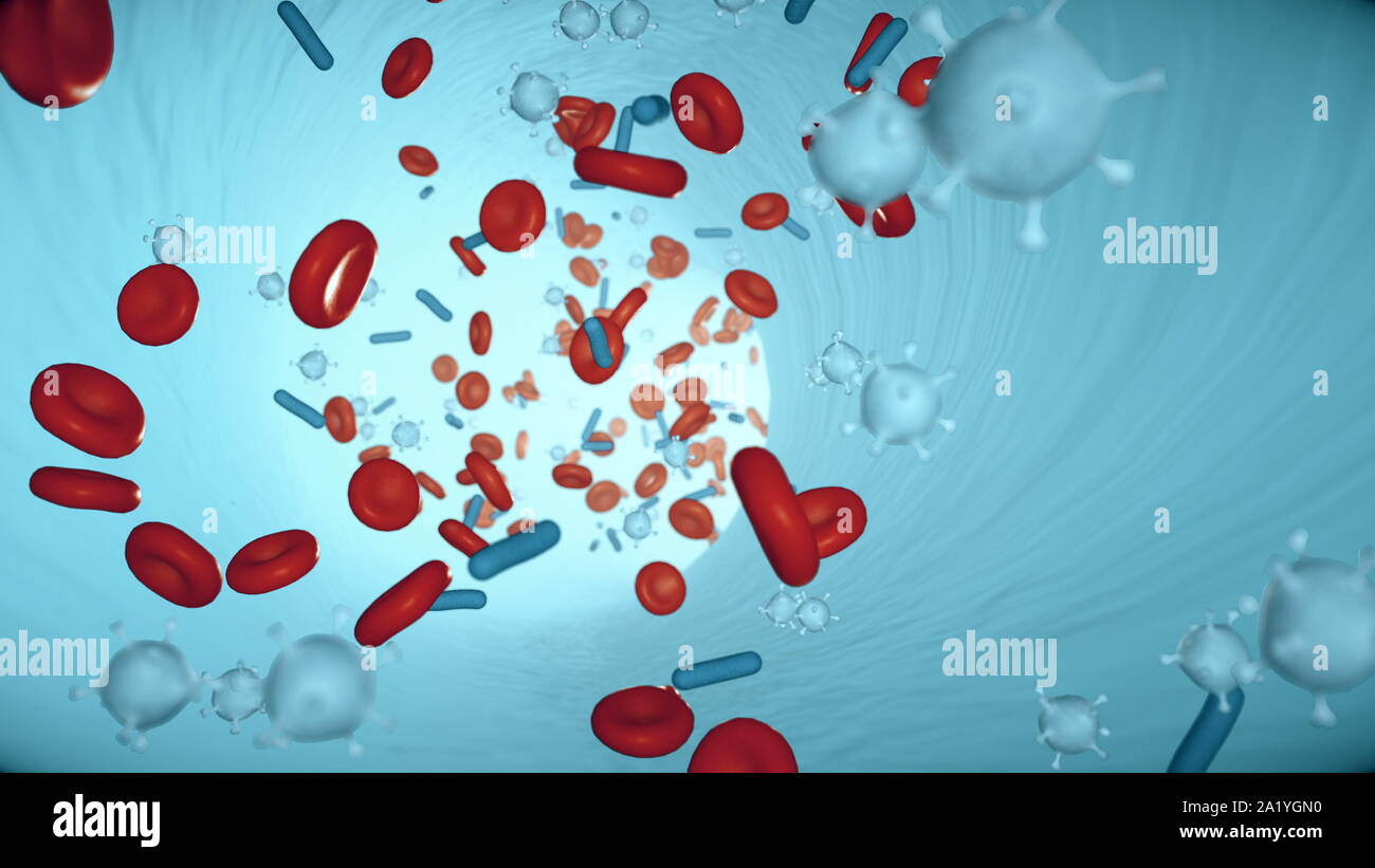 Rote Blutzellen und Viren im Blut in einer Arterie seamless loop Stockfoto