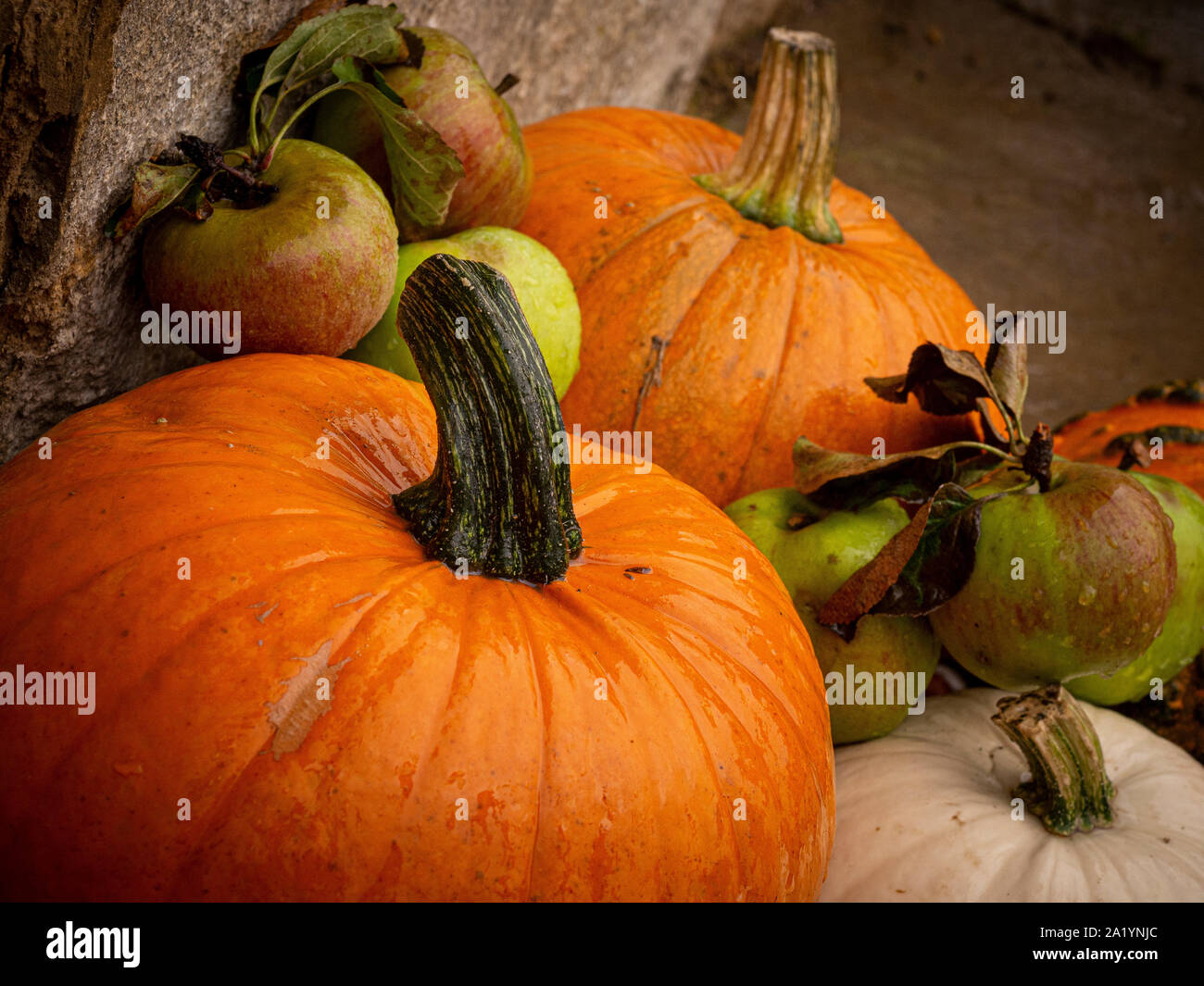 Kürbisse und Äpfel - Herbst. Stockfoto