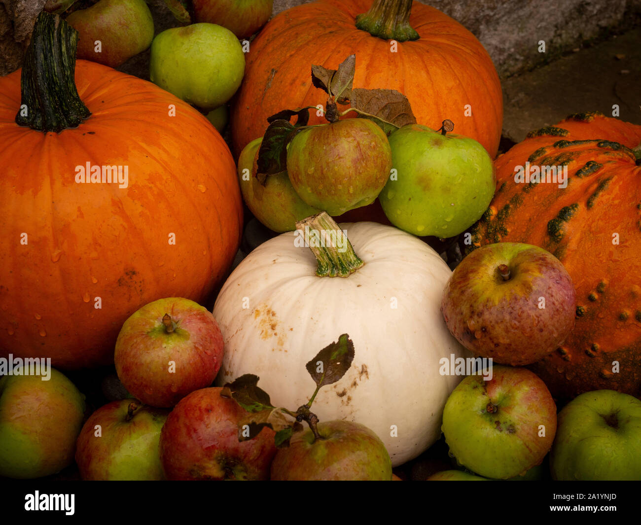 Kürbisse und Äpfel - Herbst. Stockfoto