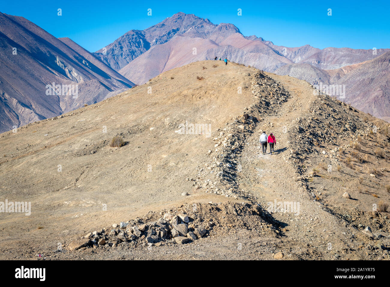Schmutz Fahrbahnen geschnitzt in den Hügeln von Vicunas, Chile. Stockfoto