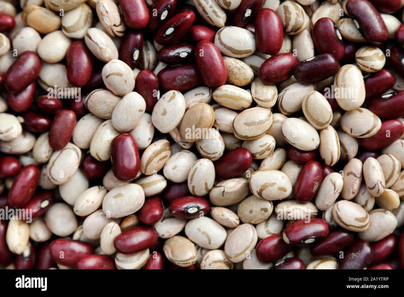 Verschiedene Körner von Rohöl roten und weißen Bohnen - bean Textur - Essen Stockfoto