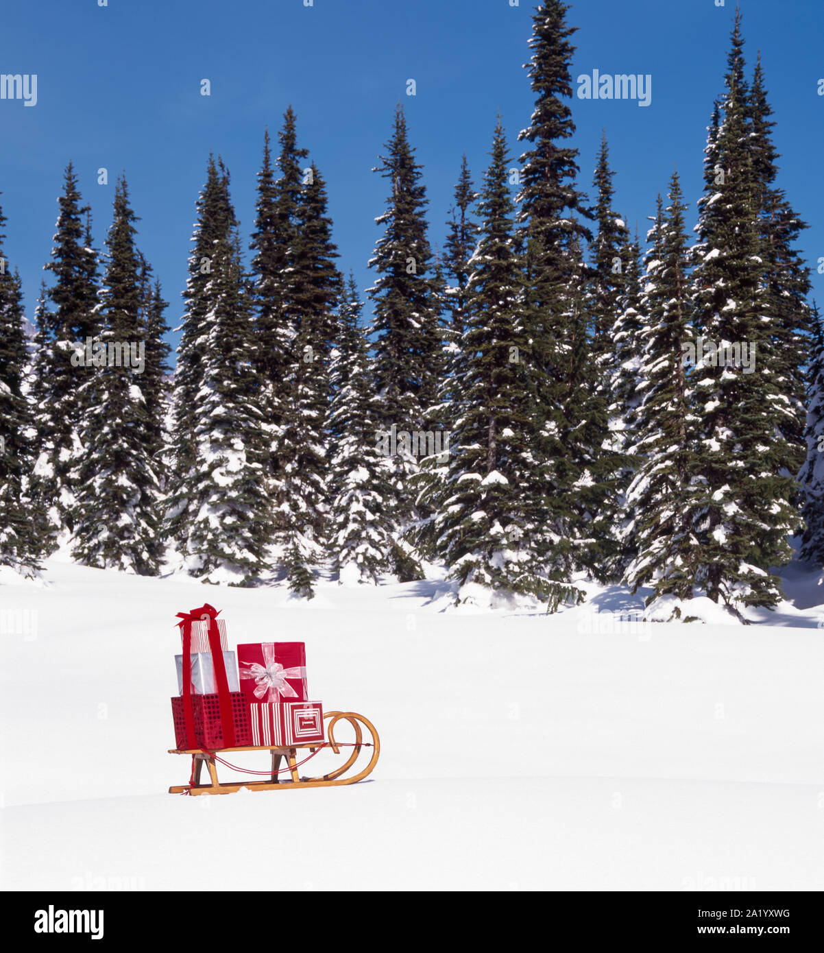 Holz Schlitten gestapelt mit festlichen roten und weißen verpackte Weihnachtsgeschenke präsentiert in verschneite Winterlandschaft mit immergrünen Tanne Pinien Hintergrund Stockfoto