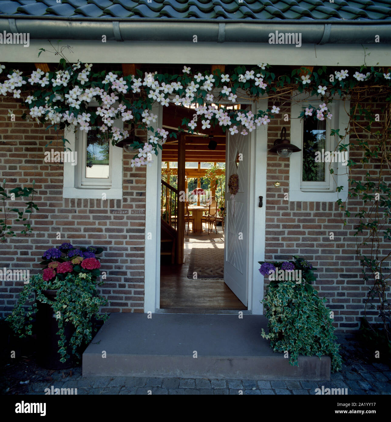 Blühende Kletterpflanze frames Öffnen der vorderen Tür Stockfoto