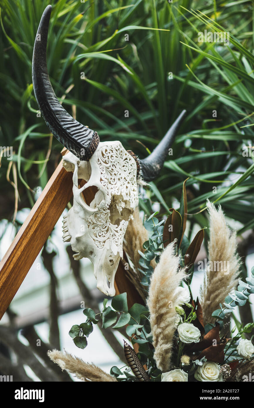 Und weißen Farbtönen, tierischen Schädel mit schwarzer Hörner auf Boho style Hochzeit geschnitzt. Ungewöhnliche und andere Dekoration von Arch. Stockfoto