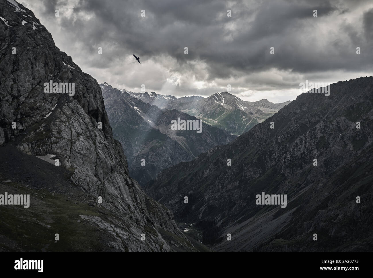 Silhouette von Falcon in den grauen Berg Tal mit Fluss und Bedeckt Regen Wolken in Karakol Nationalpark, Kirgisistan Stockfoto