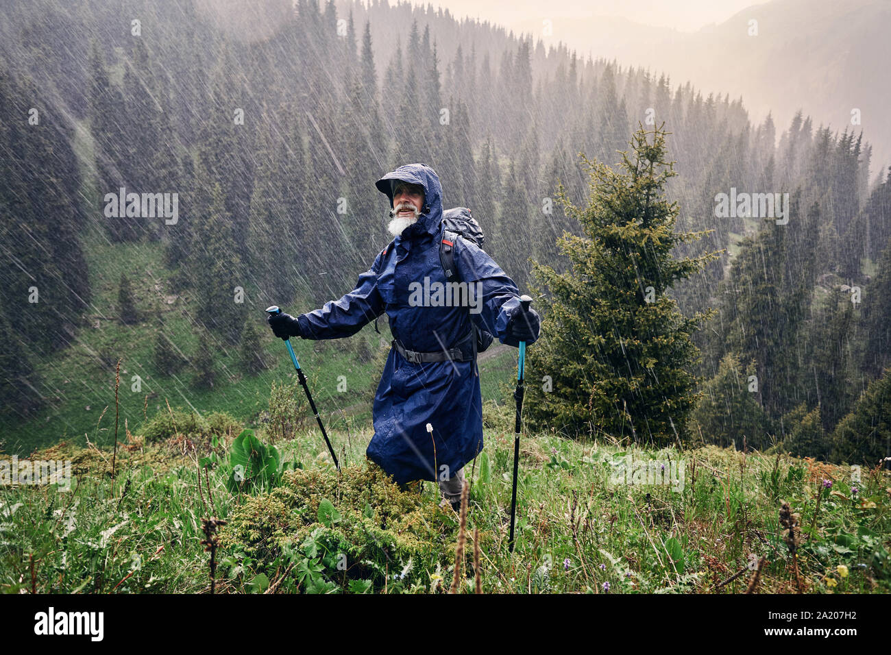 Alte Wanderer mit grauen Bart in blau Regenjacke steht unter starker Dusche in den Wald auf die Berge. Outdoor Travel Concept Stockfoto