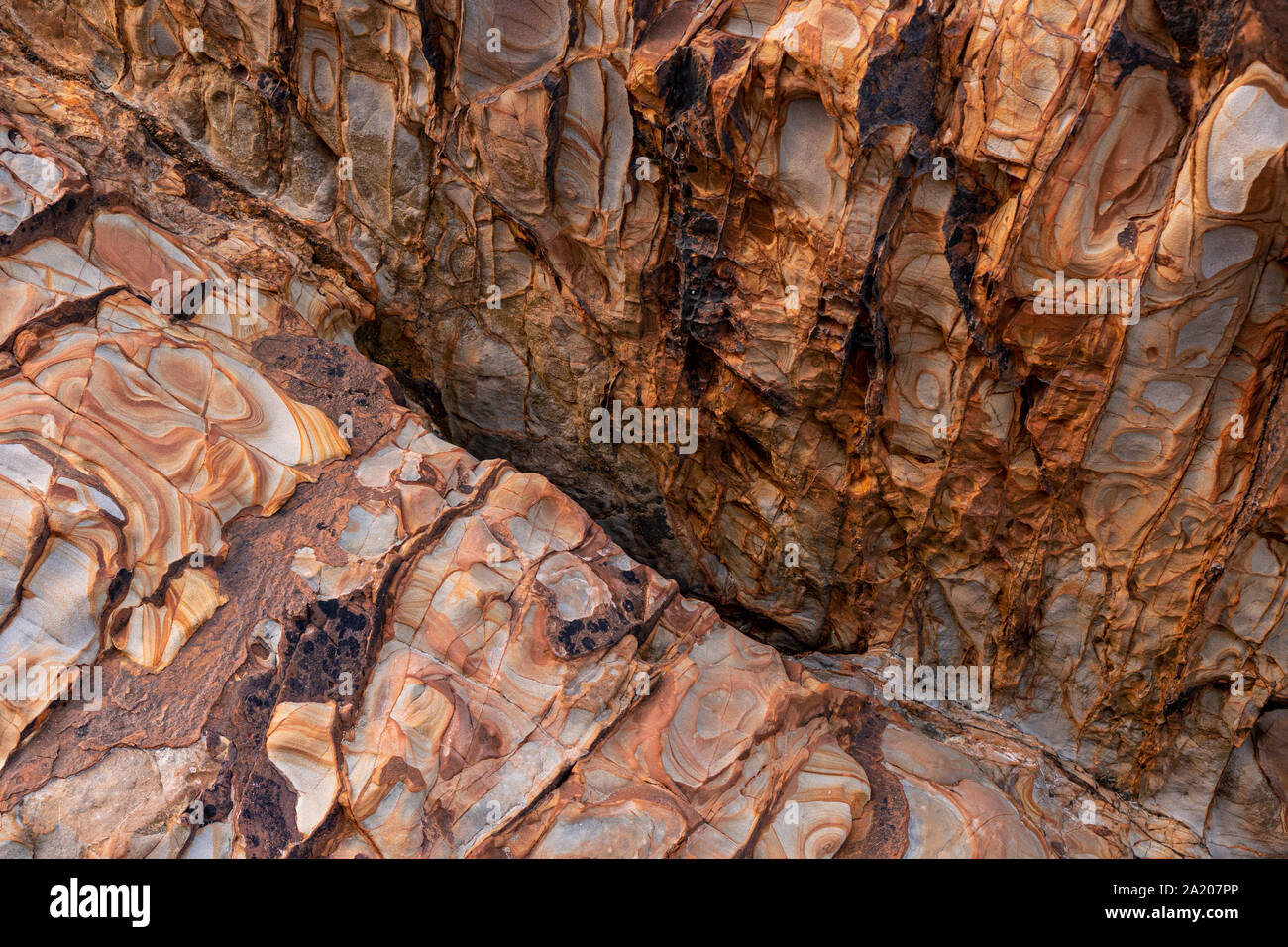 Mudstone und Sandstein an Widemouth Bay an der Atlantikküste von Nord Cornwall Stockfoto