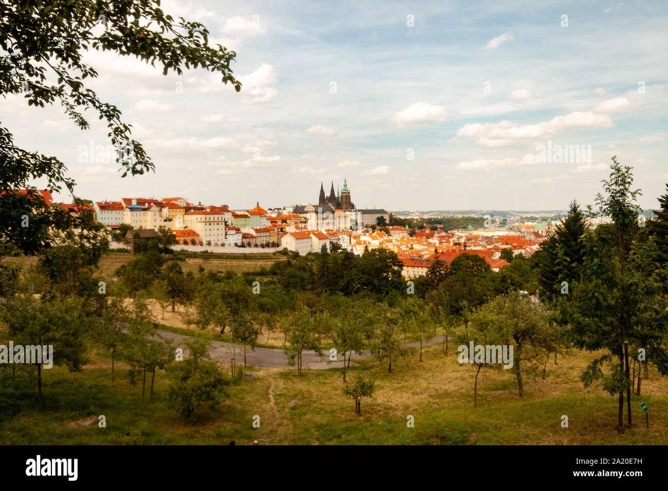 Der Blick auf die Altstadt von Prag aus dem Garten Petrin. Sie sehen die Kathedrale und die Burg. Stockfoto