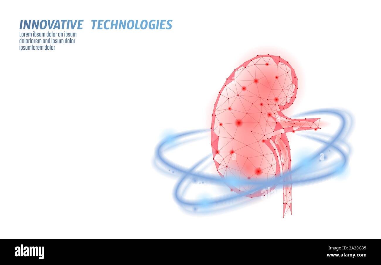Gesunde Nieren internen Organ 3d-Low Poly geometrische Modell. Urologie system Medizin die Behandlung von Krankheiten. Zukunft Wissenschaft Technologie leuchtende Pfeile Vektor Stock Vektor