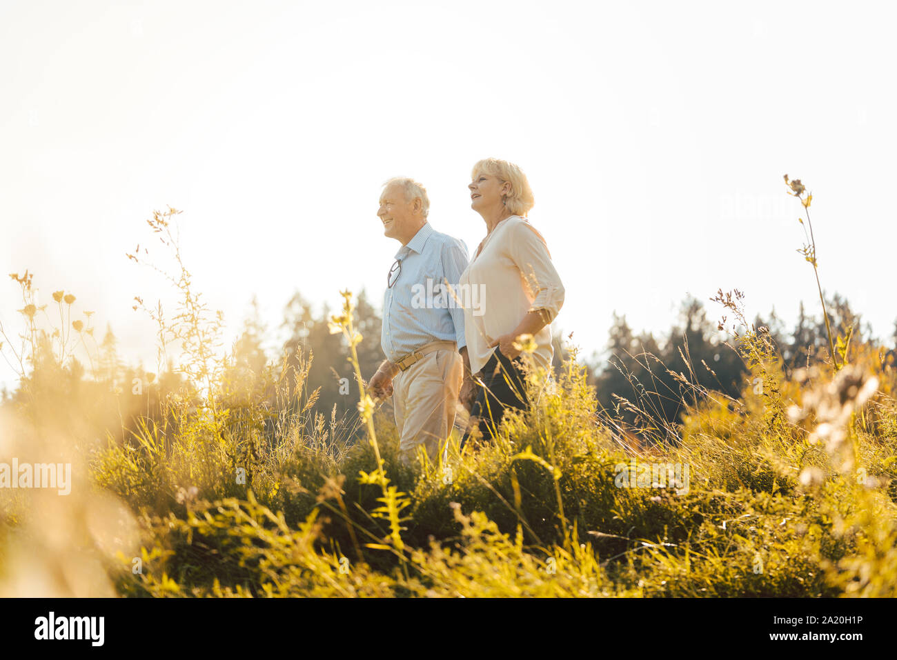 Der Mann und die Frau, beide Senioren, einander umarmen Stockfoto