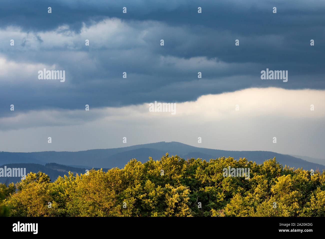 Feder und Natur, Auvergne, Frankreich. Stockfoto