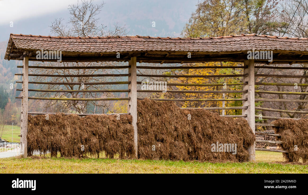 Eine traditionelle slowenische Trocknen frame Raufe genannt kozolec auf dem Land in der Nähe von Bled, Slowenien, im Herbst Saison Stockfoto