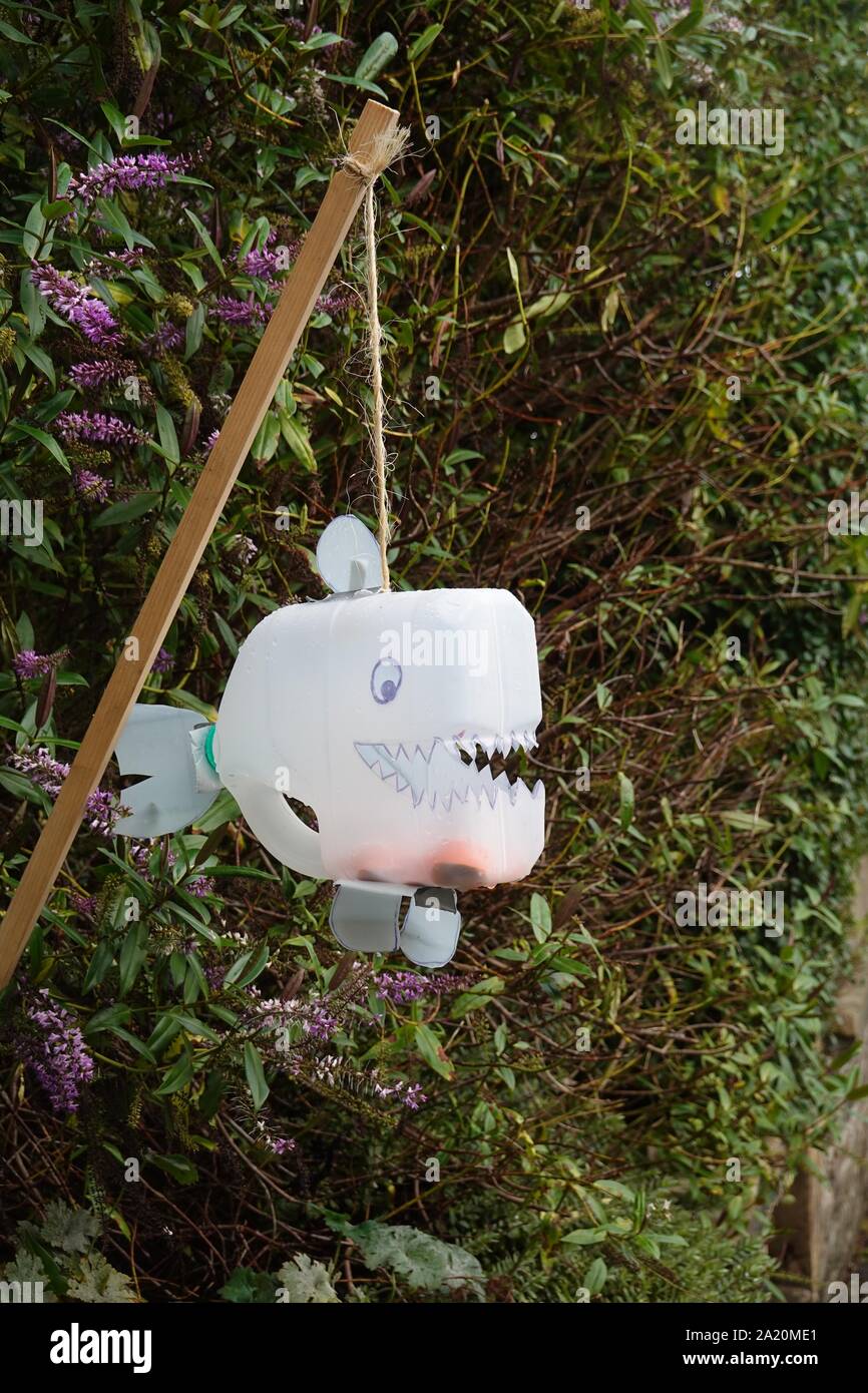 Eine Laterne während der jährlichen neuen Mühlen Laternenumzug verwendet zwei Tage zuvor hängt von einer Hecke im Vorgarten. Stockfoto