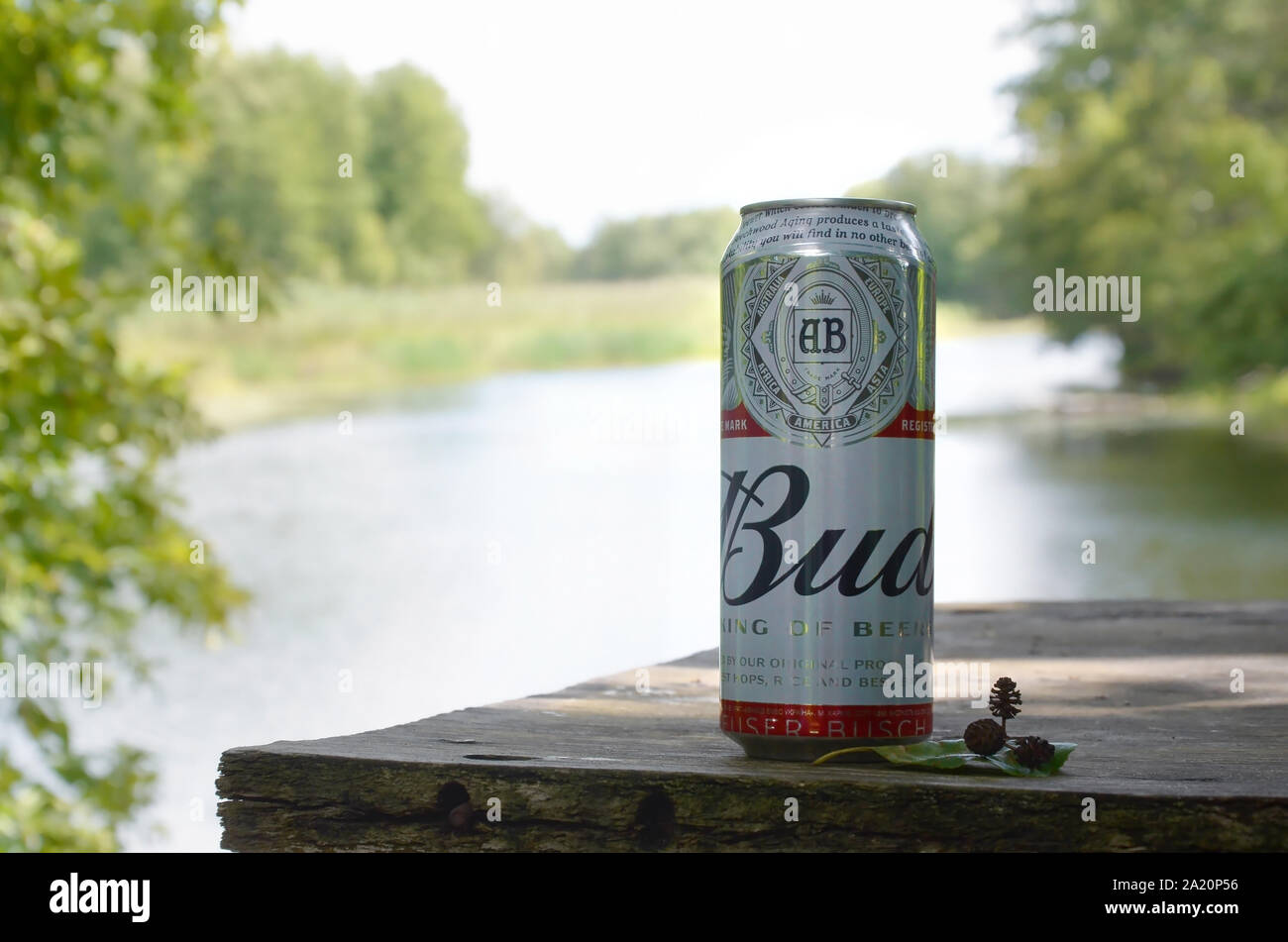 Kharkov, Ukraine - August 10, 2019: Budweiser Bud Bier kann auf alten hölzernen Tisch draußen am Fluss und grüne Bäume Hintergrund. Budweiser ist einer der Stockfoto