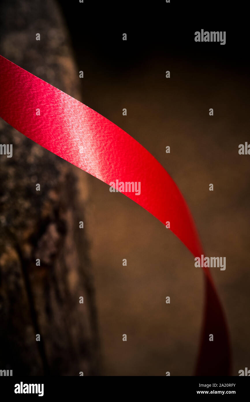 Red Ribbon in einem Wald. Stockfoto