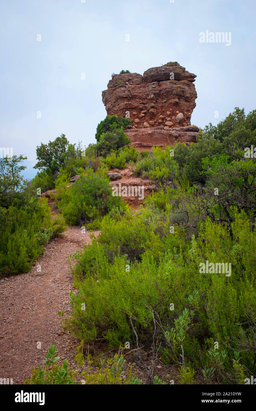Turó Roig de Vacarisses. Parc Natural de Sant Llorenç Del Munt i l'Obac Stockfoto