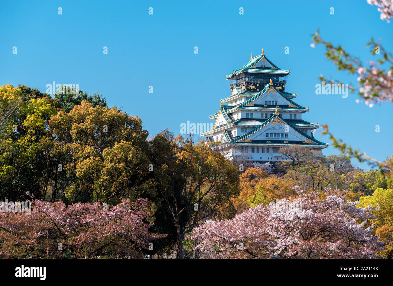 Burg von Osaka (Osakajo), Osaka Japan Stockfoto