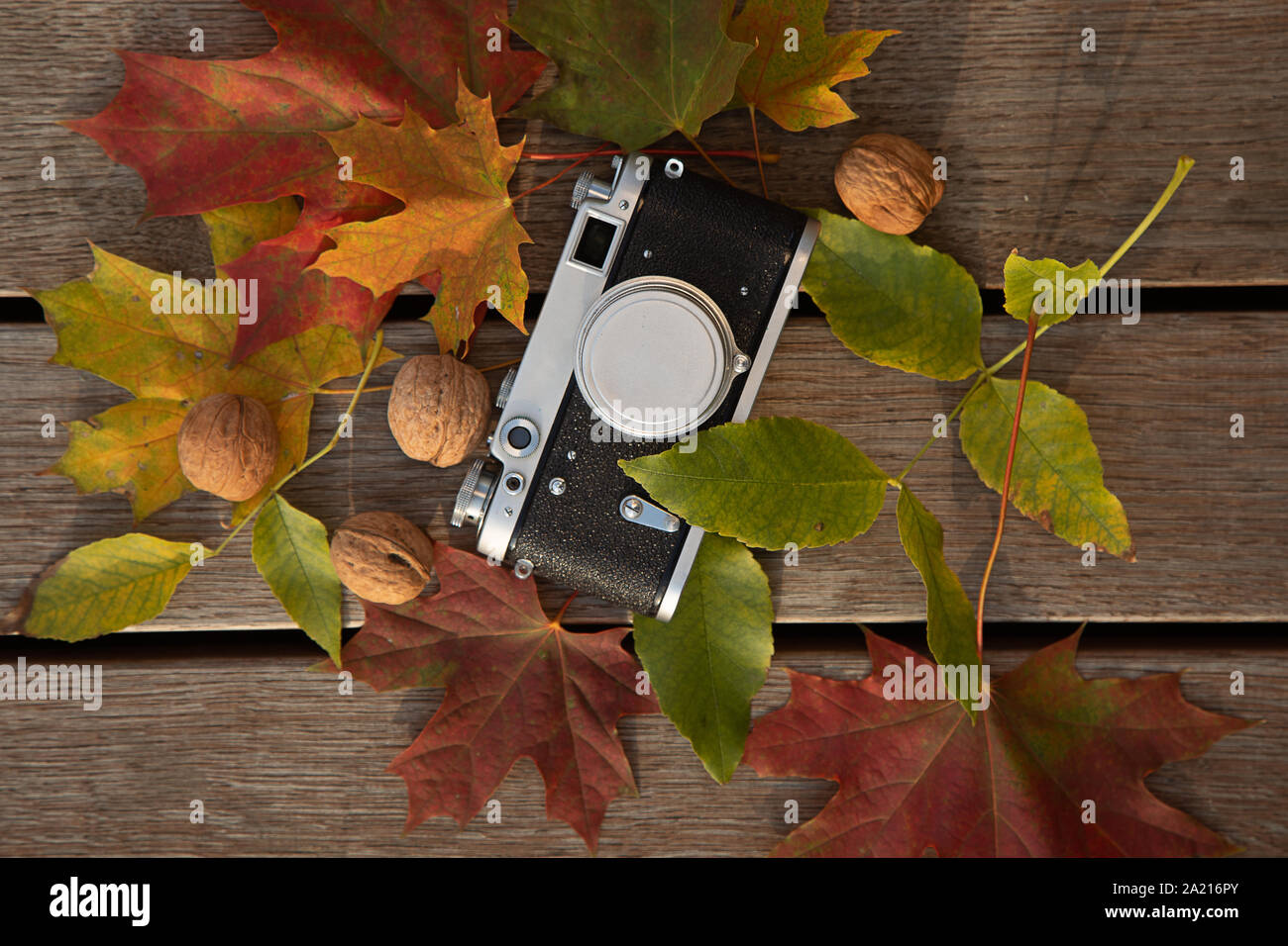Noch immer leben Herbst Stimmung Bild mit Vintage Kamera, die Blätter und die Muttern auf Holz- Hintergrund Stockfoto