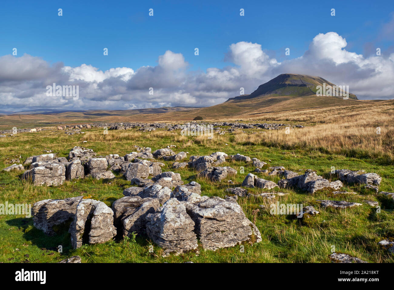 Pen y Gent, in der Nähe von Helwith Brücke. Yorkshire Dales National Park, England. Stockfoto