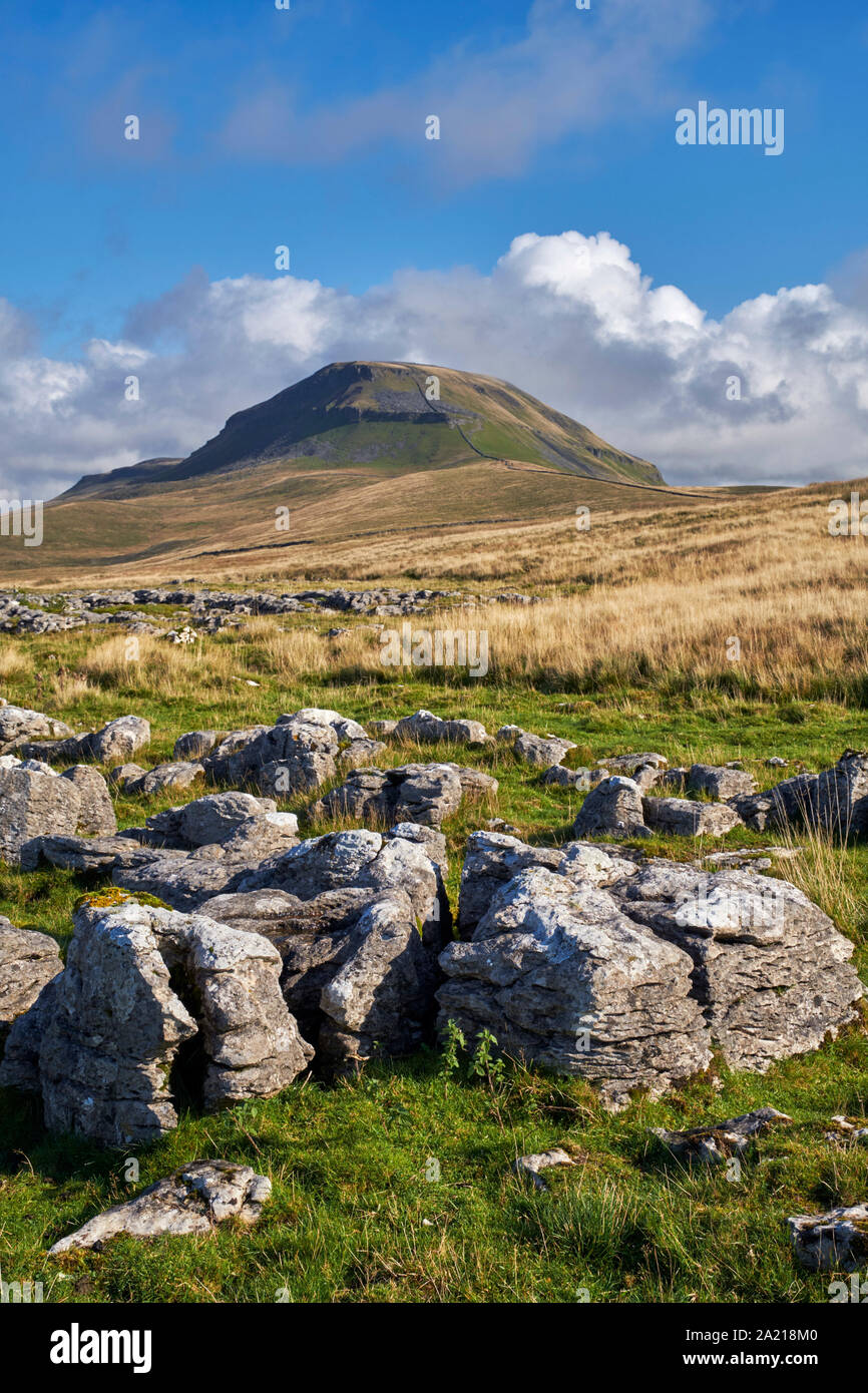 Pen y Gent, in der Nähe von Helwith Brücke. Yorkshire Dales National Park, England. Stockfoto