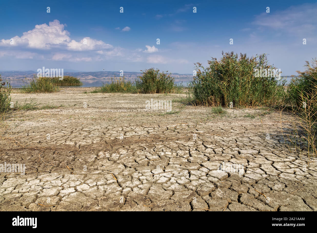 Trockenen See Bett mit natürlichen Textur von gerissenen Ton in Sicht. Death Valley Gebiet. Hintergrund. Selektiver Fokus auf schwarzem Boden dunkle Land. Idee Stockfoto