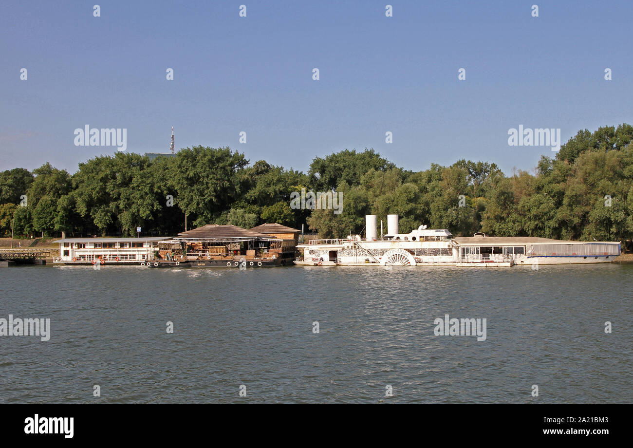 Die Leonardo, unter anderen schwimmenden Restaurants und Bars, auf dem Fluss Sava, Belgrad, Serbien. Stockfoto