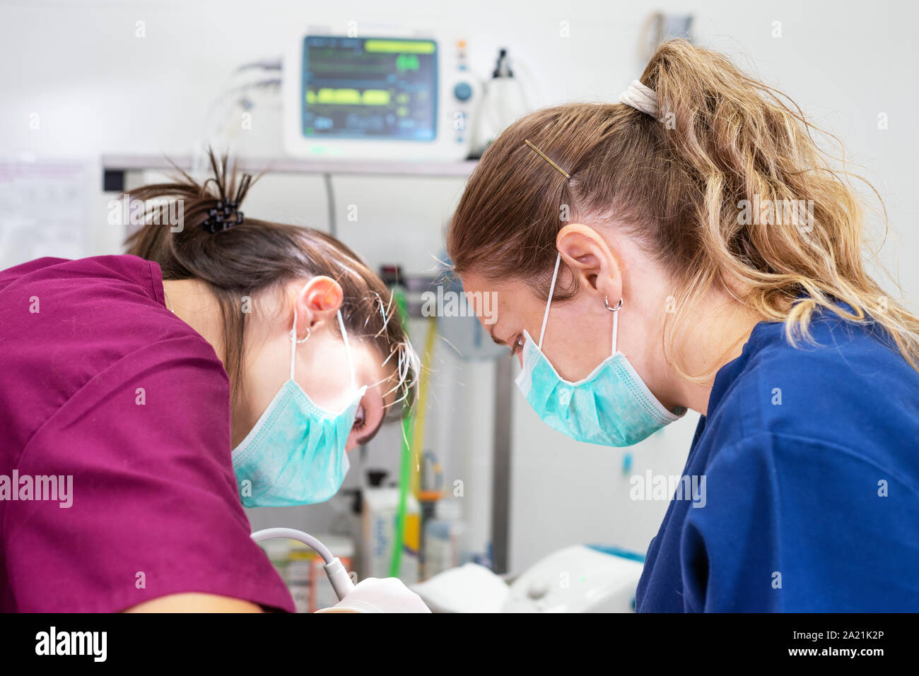 Portrait von zuversichtlich Tierärzte in Tier im Krankenhaus zu arbeiten. Stockfoto