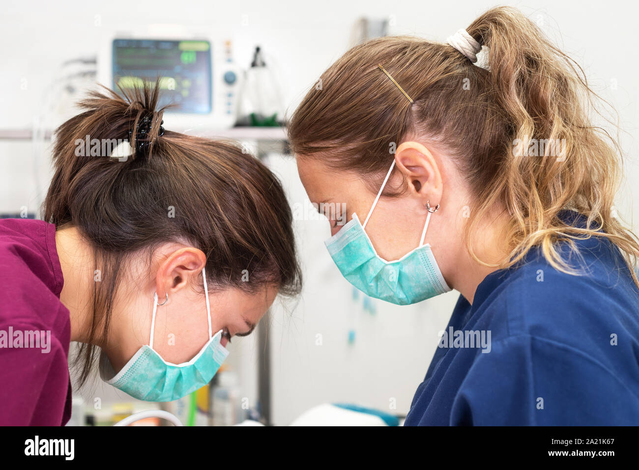 Portrait von zuversichtlich Tierärzte in Tier im Krankenhaus zu arbeiten. Stockfoto