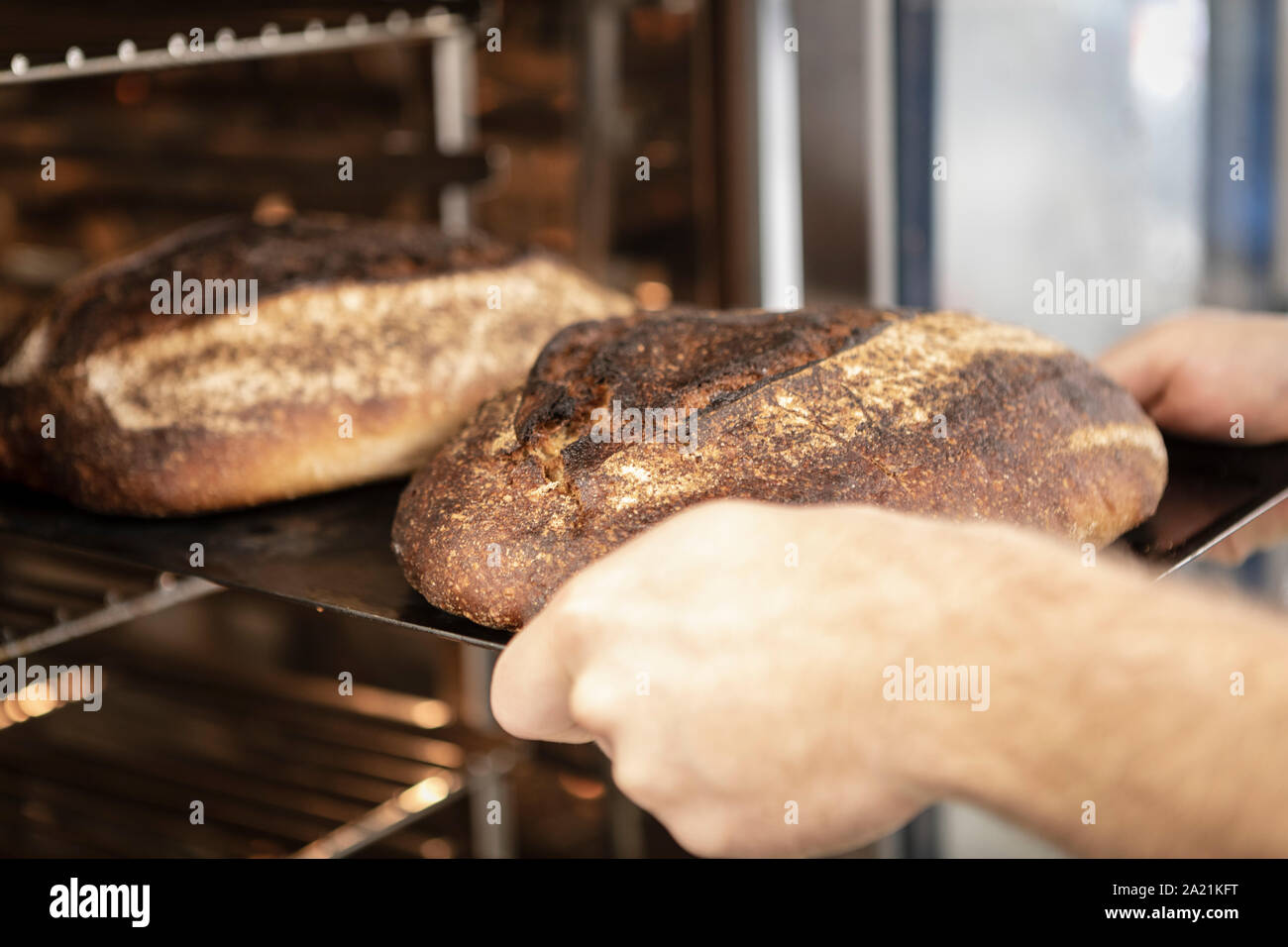 Brot backen mit Sauerteig Brote aus dem Ofen Stockfoto