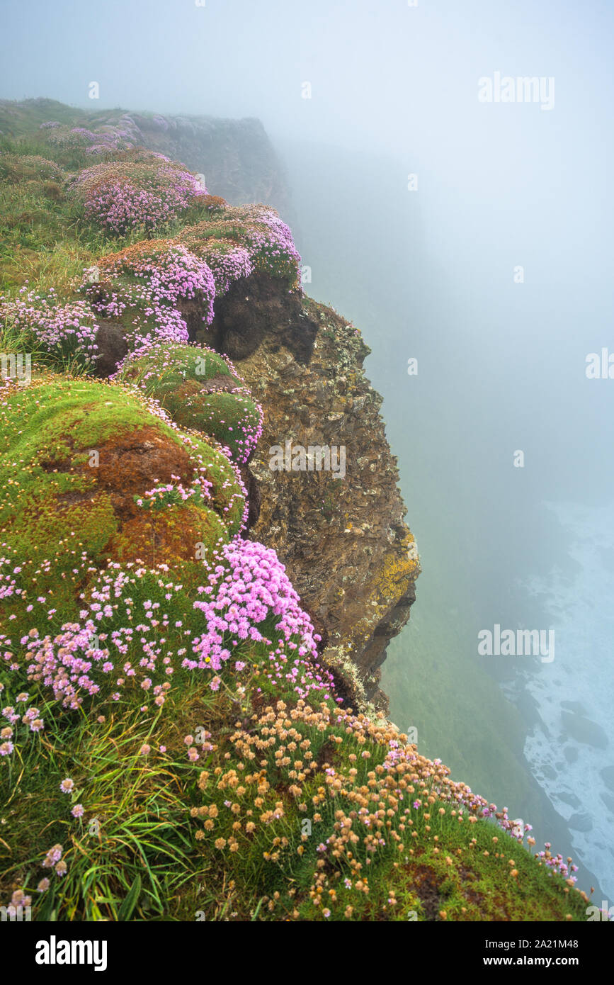 Bedruthan Steps an einem nebligen Tag, in der Nähe von Newquay, Cornwall, England, Großbritannien, Großbritannien. Stockfoto